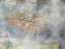 fond  du po&egrave;me de Eloix